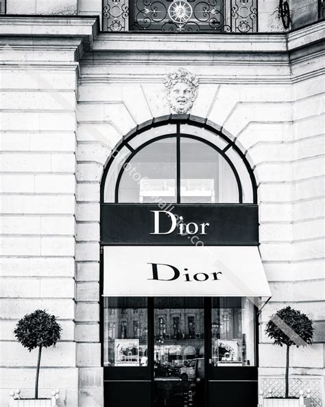 porcelaine dior|dior noire et blanc.